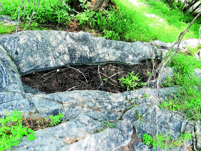 Pre-historic rock cut burials