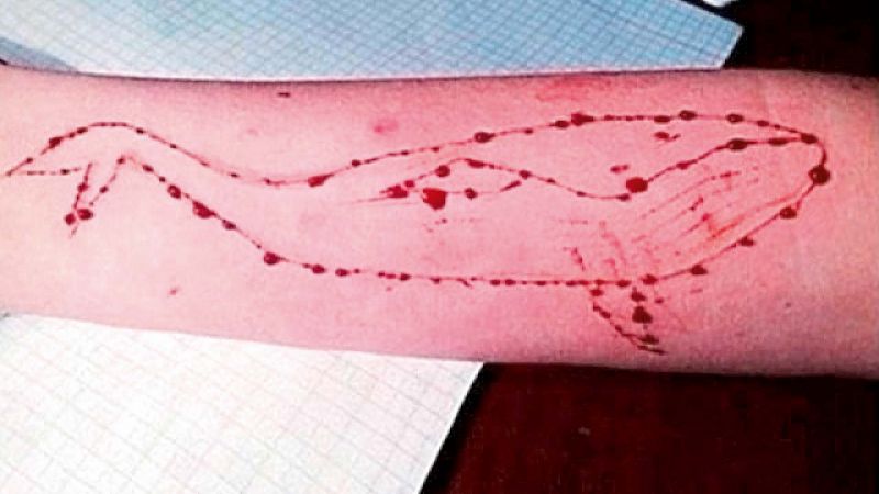 Deadly challenge: Players use a knife to draw the pattern of a whale on forearms with blood.