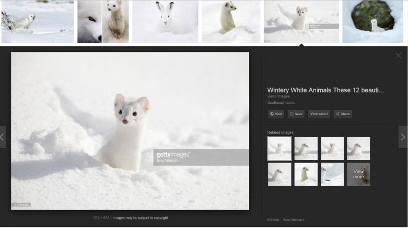 how to add view images button google images