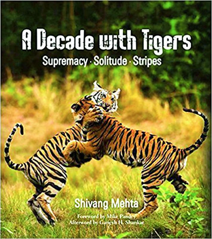  A Decade with Tigers by Shivang Mehta Rs 1,750, pp 360 Niyogi Books