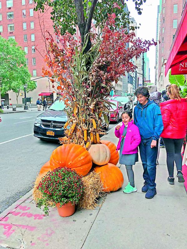 Mahesh Babu and Namrata's kids Gautham and Sitara seemed amazed with the huge pumpkins on display on a roadside during Halloween celebrations in US as they enjoy their vacation amidst all the festivity.