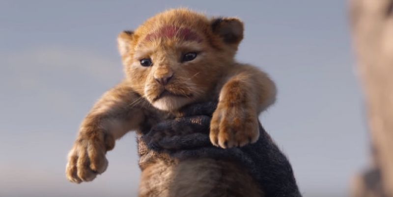 A screen grab from 'The Lion King' teaser. (Courtesy: YouTube/ Walt Disney Studios)