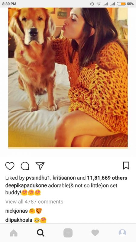 Nick Jonas comments on Deepika Padukone's Instagram post.