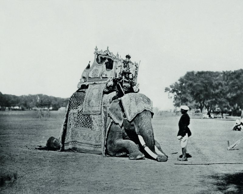 Delhi, His Eminence, The Viceroy's Elephant, Delhi Durbar.