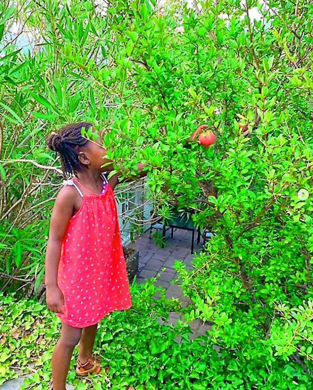 Charlize Theron recently shared a rare photo of her daughter on Instagram that featured her plucking apples from a tree.