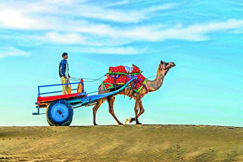 Travel in Jaisalmer