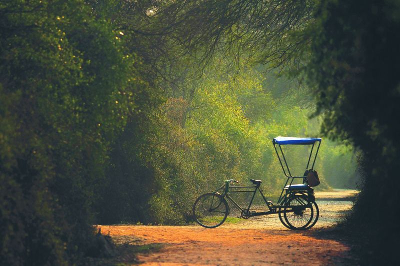 A rickshaw framed in foliage at the Bharatpur Bird Sanctuary