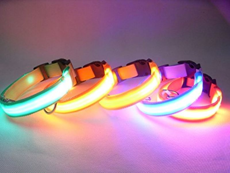 LED collars