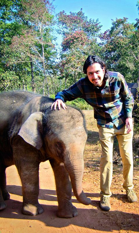 Ricky Kej has also spread awareness about the human-elephant conflict through his music.