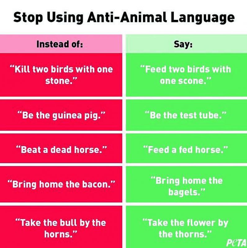 GONE OVER-BOAR: PETA posted the above chart on its social media handles