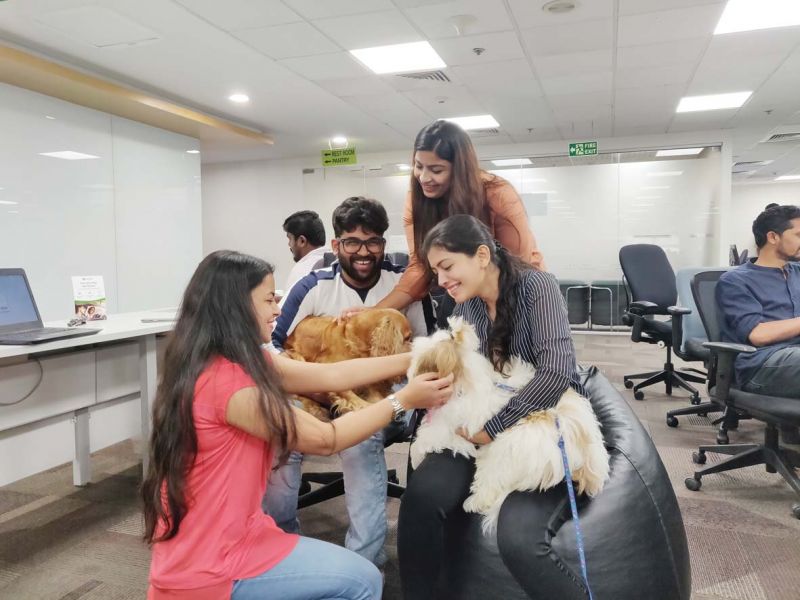 Employees with their pets at Ola office in Bengaluru