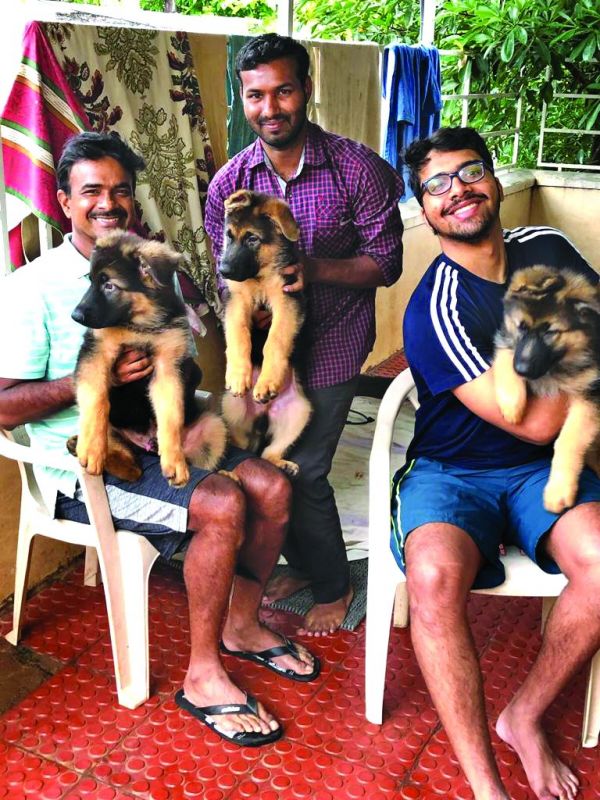 C.V. Anand with the puppies, which he is going to gift to  the Central Industrial Security Force (CISF) and the Rajiv Gandhi International Airport Authorities on Wednesday.