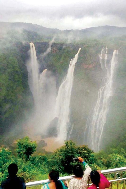 A view of the world famous Jog Falls in Shivamogga district which has been receiving copious rain since Tuesday (Photo:  KPN)