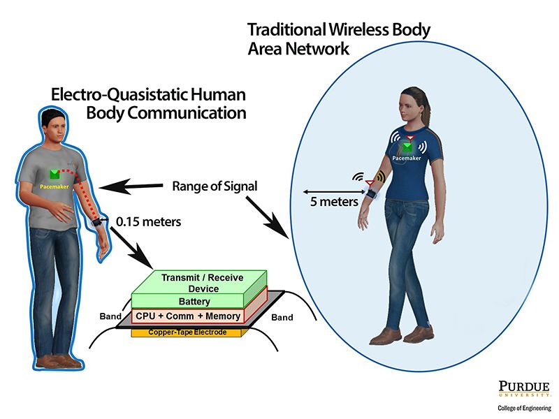 body wifi