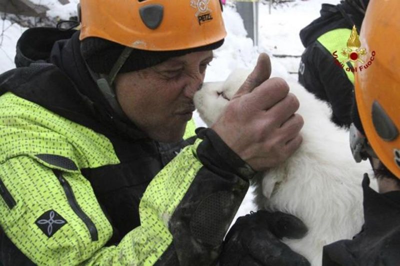 A firefighter kisses one of the three puppies that were found alive in the rubble of the avalanche-hit Hotel Rigopiano, near Farindola, central Italy, Monday. (Photo: AP)