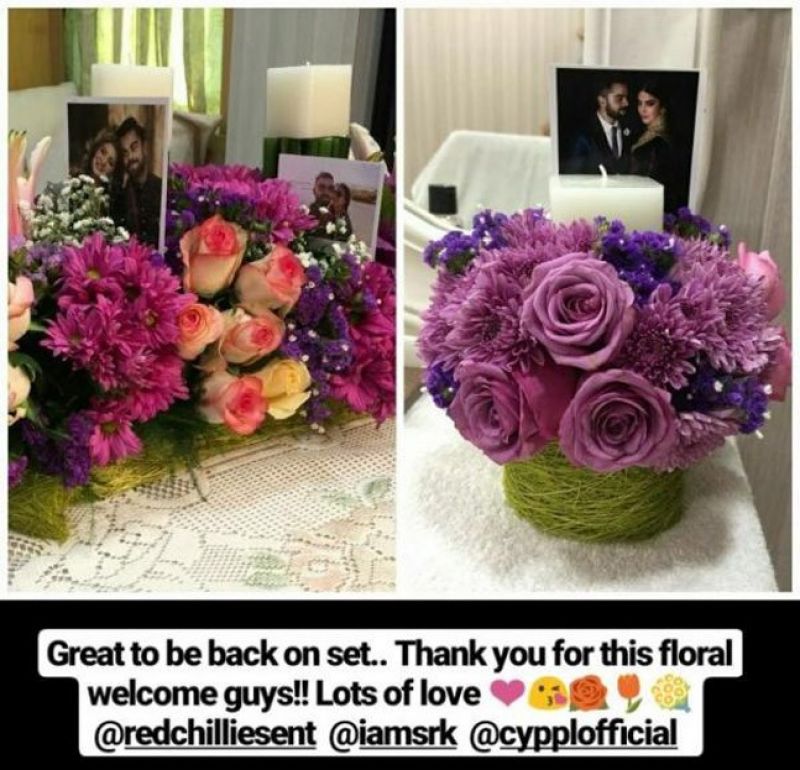 Anushka Sharma's instagram story; she receives a flowery welcome.