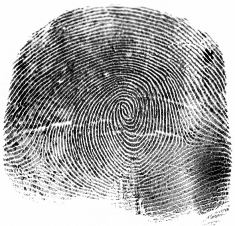 Fingerprint captured by Papillon. 