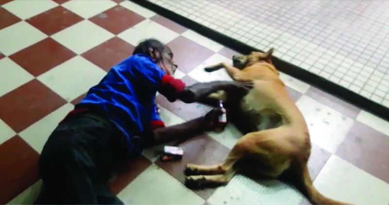 It's a dog's world: A drunk security guard of the hospital lies on the floor outside Sri Sai Medical store. He is seen holding a bottle of alcohol and caressing a dog. 