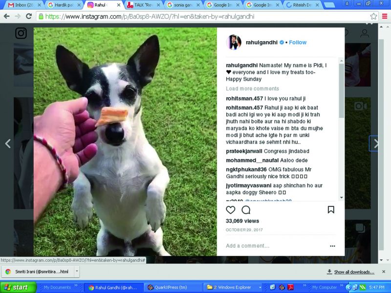 Rahul Gandhi's picture on Instagram with dog Pidi.