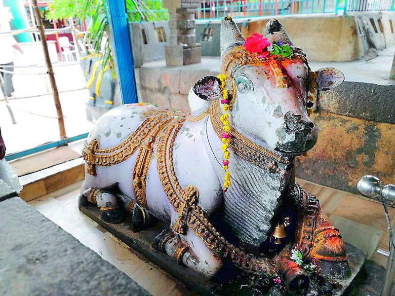 Colourful Nandi made of one stone whose paint is now fading away. Pics by Anuradha Reddy