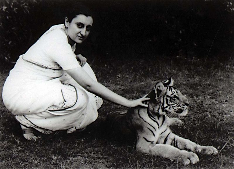 Indira Gandhi playing with a tiger