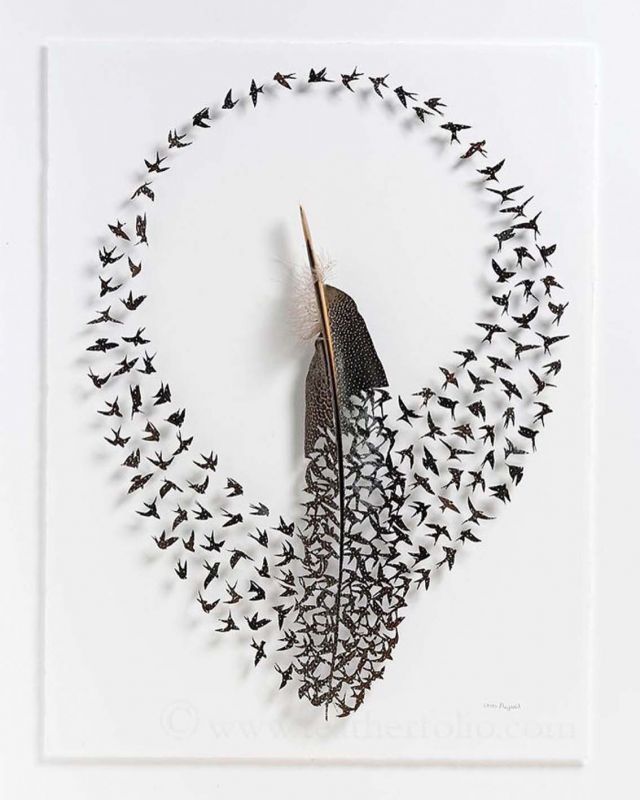 According to Chris Maynard, scissors and scalpels are not just meant for surgeries, but also for carving images out of feathers. Made using real feathers, each piece is backed with transparent elements to keep it sturdy. He doesn't paint on feathers. Whatever you see in his images are shades on the feathers. You can see birds fluttering in his works. He uses scissors and scalpels to cut the feathers. In Chris' words, he keeps the birds alive through these shed feathers. Also, feathers signify scaling heights. So, they also symbolise hope and transformation.