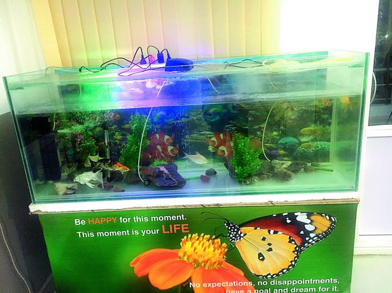 Aquarium at the Punjagutta police station