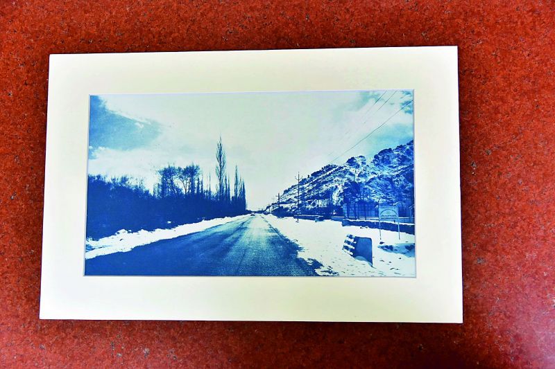 Cyanotype artworks can be created in matters of 15 minutes when placed under sun