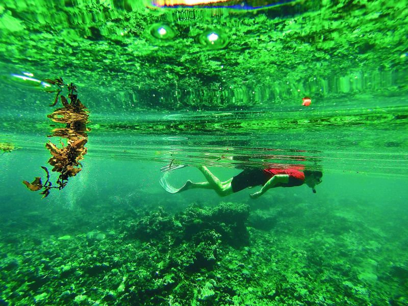 Snorkelling is a must to explore the Indian Ocean, or go deep-sea diving if you have it in you to do so.