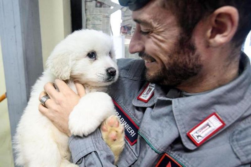 A Carabinieri officer officer holds one of three puppies that were found alive in the rubble of the avalanche-hit Hotel Rigopiano, near Farindola. (Photo: AP)