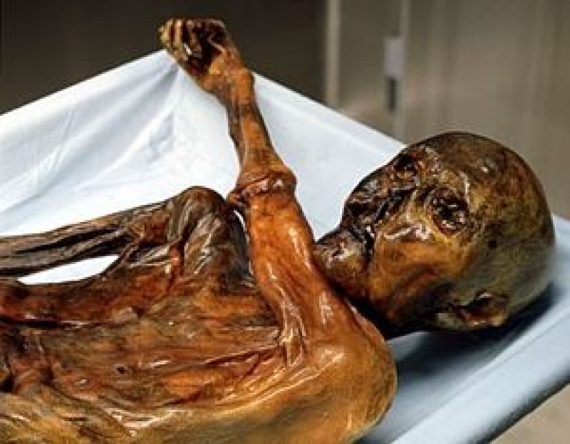 Ã–tzi also called the Iceman, the Similaun Man, the Man from Hauslabjoch, the Tyrolean Iceman, and the Hauslabjoch mummy) is a nickname given to the well-preserved natural mummy of a man who lived around 3,300 BCE