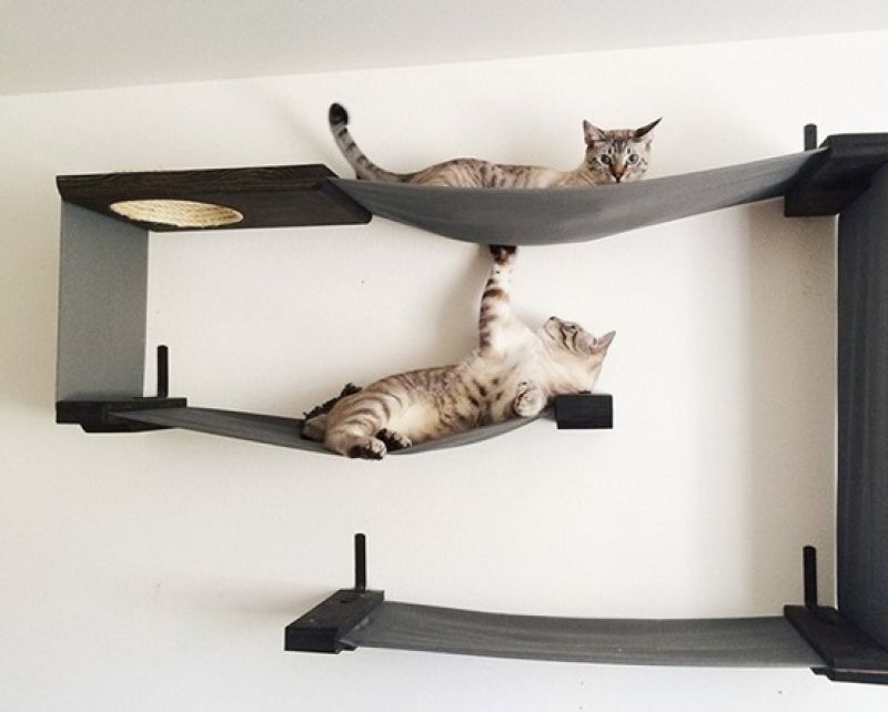 Get a piece of nature to your home with a wooden cat tree and help them feel home.