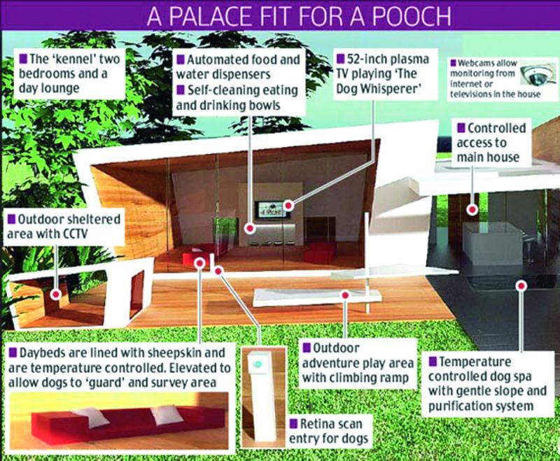 Super Dog House with Plasma TV