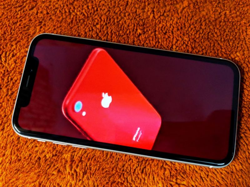 Apple iPhone XR (Deccan Chronicle)