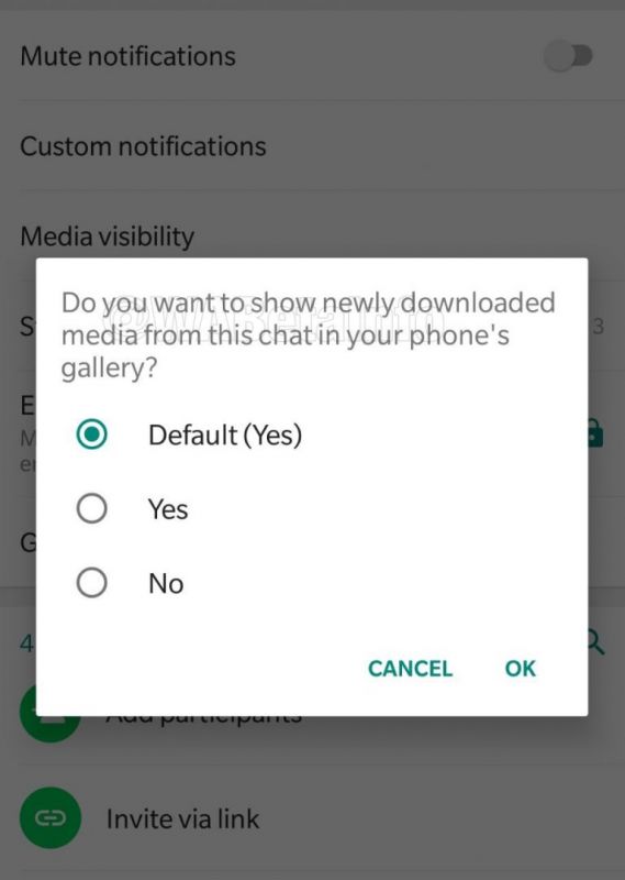 WhatsApp beta for Android 2.18.194