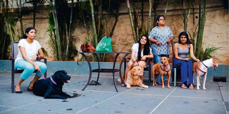 Pets were invited at the all-vegan wedding ceremony of Mumbai-based couple Shasvathi Siva and Karthik Krishnan