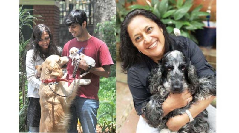 Pet owners socialise with their dogs and Priya Chetty-Rajagopal