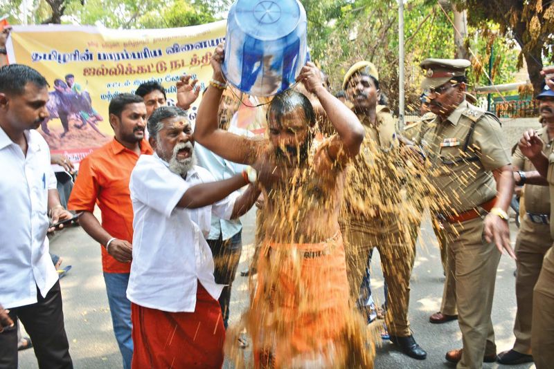 A member of Hindu Makkal Katchi douses himself with cow dung, at Sastri Bhavan, demanding the conduct of  jallikattu. (Photo: DC)