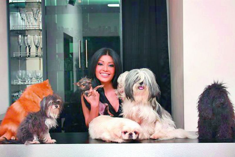 Koena Mitra has an army of Terriers, Poodles, Pekingese  all of them being toy breeds from exotic countries.