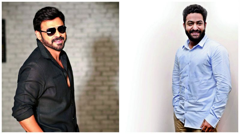  Venkatesh and Jr NTR's recent films were shelved at the writer's table