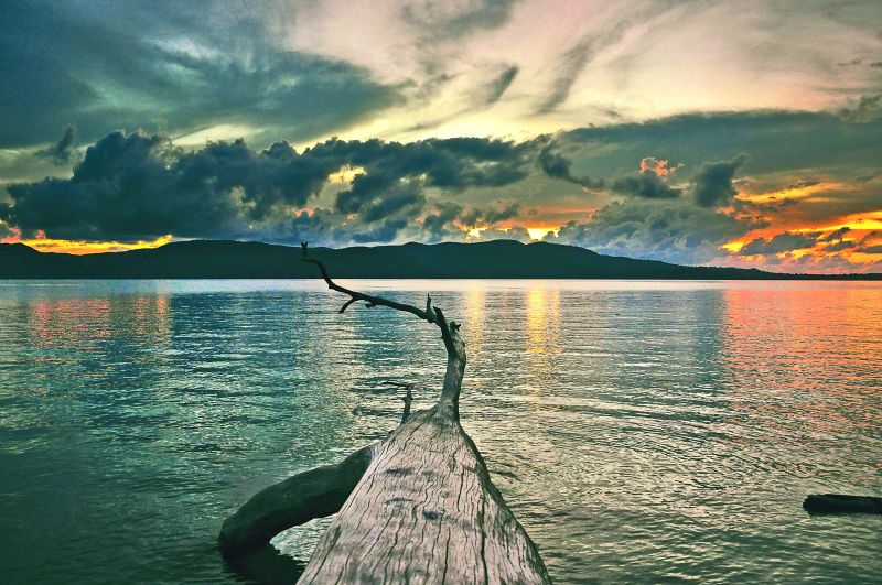 Fallen branch with a view 