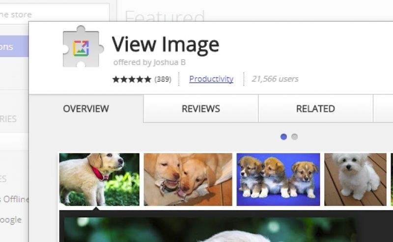 how to add view images button google images