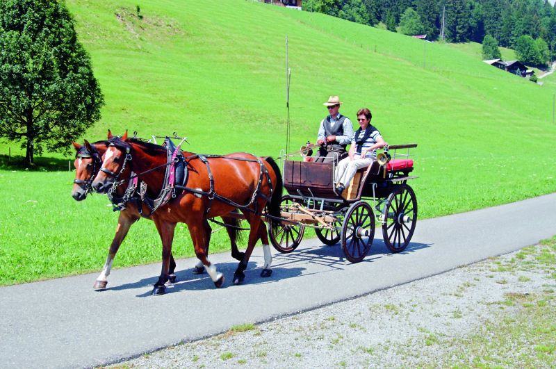 A traditional attraction in Gstaad is a horse  carriage ride