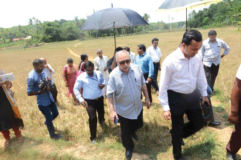 A central team inspects the Vellaloor Yela Nagaroor panchayat in Thiruvananthapuram district which to assess the drought situation. 