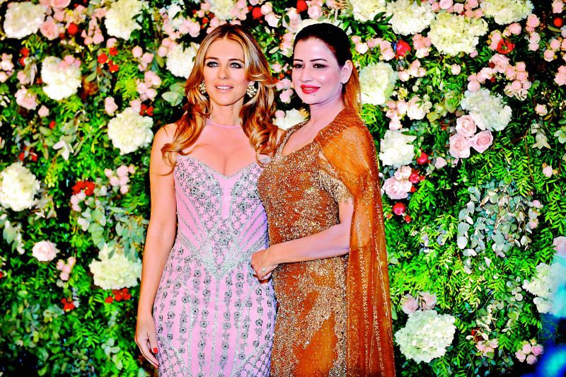 Sudha Reddy donated to international actress Liz Hurley's charity for her birthday celebrations in Paris last year.