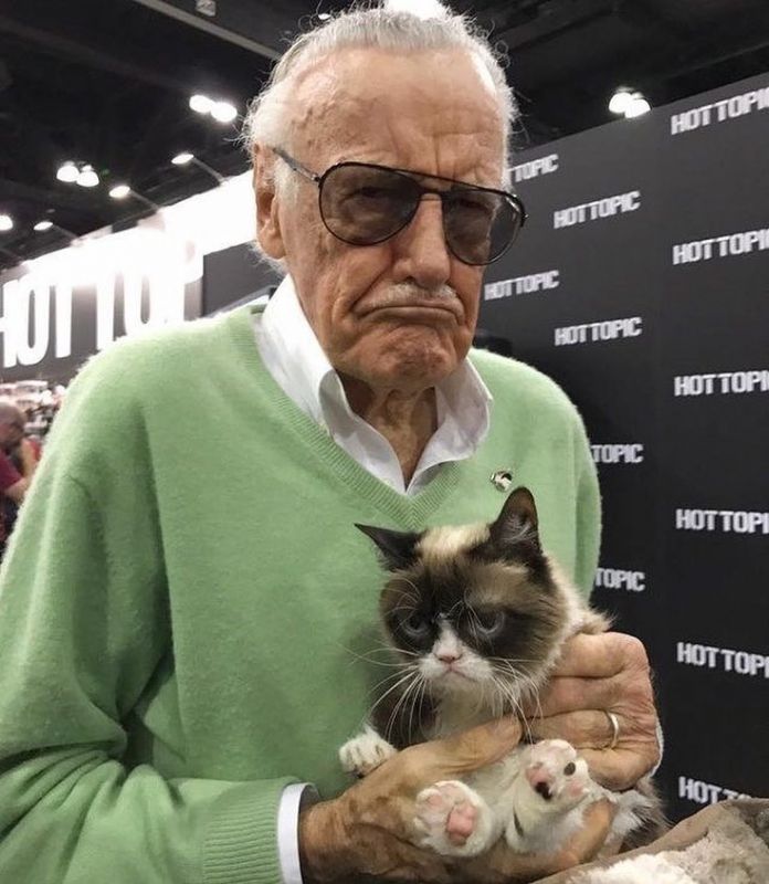 Grumpy Cat' posses with the iconic Marvel Comics' head, Stan Lee. (Photo: Instagram/grumpycat)