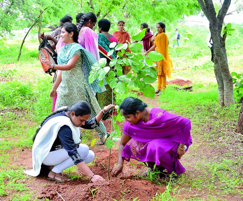 Osmania university students plant 1 lakh saplings in their campus