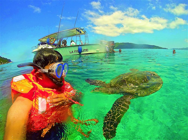 Selfie with a sea turtle  you need to have a waterproof camera with you and maintain a safe distance.