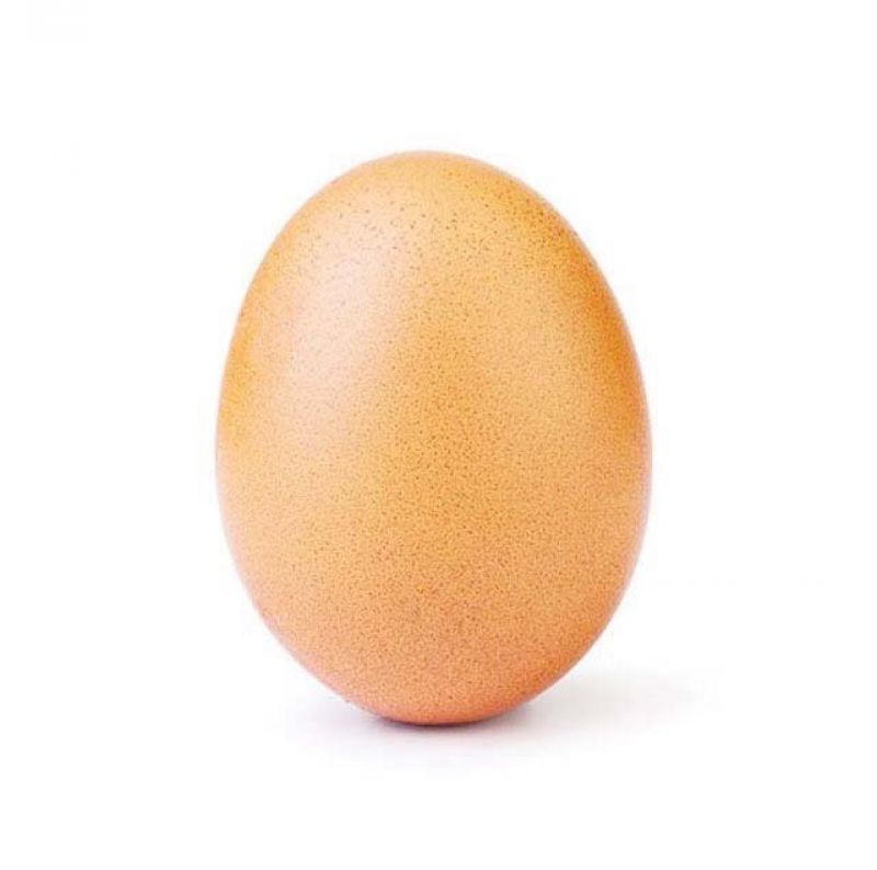 @world_record_egg, the Instagram account behind the confounding egg minced no words while stating its intention. 