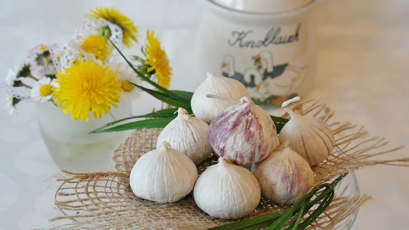 Garlic helps in stopping fatty deposits in arteries